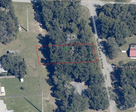1038 N Savary Ave, Inverness, FL 34453