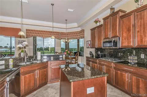 1123 W Pointe Vista Path #B-4, Hernando, FL 34442 photo 12