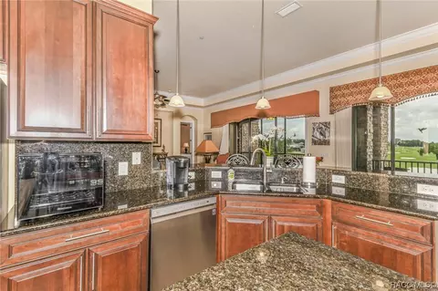 1123 W Pointe Vista Path #B-4, Hernando, FL 34442 photo 14