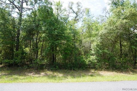 1722 W Hall Pl, Citrus Springs, FL 34434