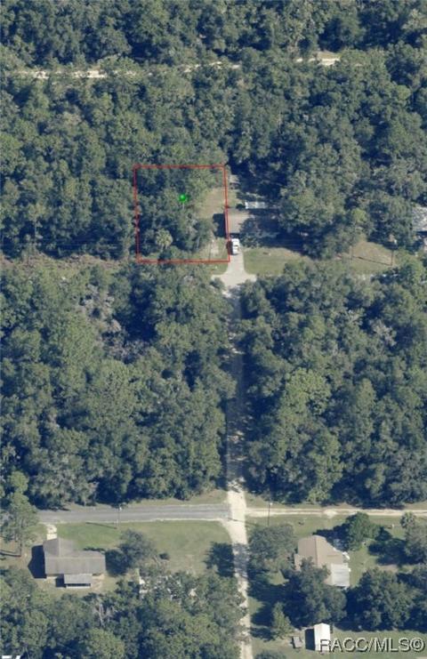 9677 W Hayes Ln, Crystal River, FL 34428