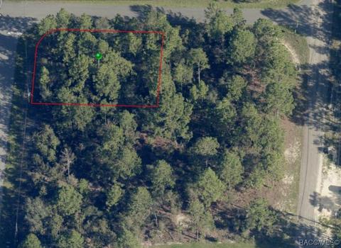 7211 N Tallwood Dr, Citrus Springs, FL 34434