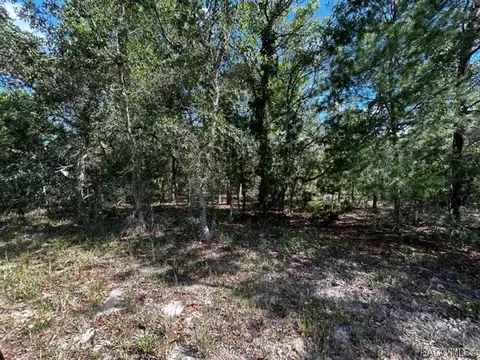 15 Schizanthus Ct, Homosassa, FL 34446
