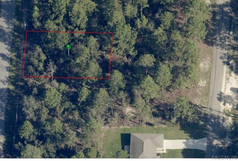 7193 N Tallwood Dr, Citrus Springs, FL 34434