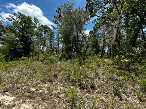 2060 W Wilmington Loop, Citrus Springs, FL 34434