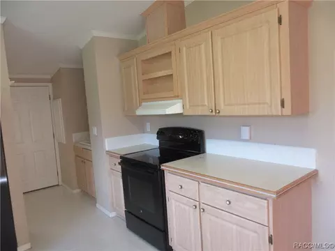 689 E La Salle St, Hernando, FL 34442 photo 8