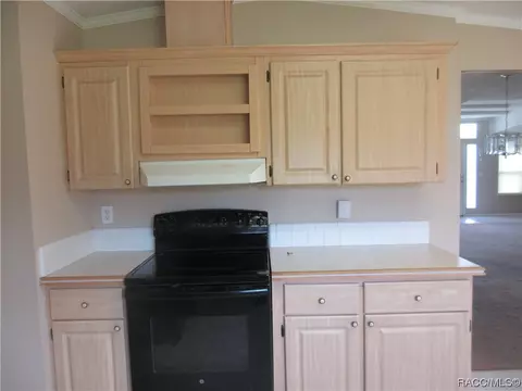 689 E La Salle St, Hernando, FL 34442 photo 10
