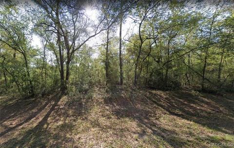 9335 N Sagamore Ter, Citrus Springs, FL 34434