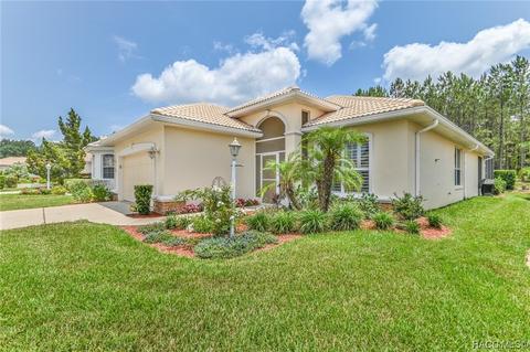 884 W Silver Meadow Loop, Hernando, FL 34442 photo 4