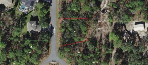 5 Hazelwood Ct S, Homosassa, FL 34446