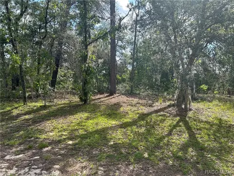 9311 N Akola Way, Citrus Springs, FL 34434