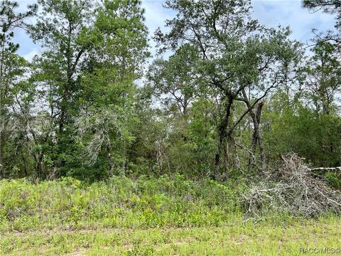 1231 W Nankeen Dr, Citrus Springs, FL 34434