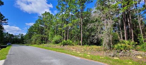 7676 N Paris Dr, Citrus Springs, FL 34434
