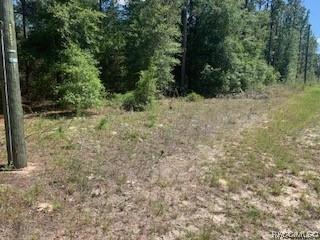 910 W Almont Pl, Citrus Springs, FL 34434