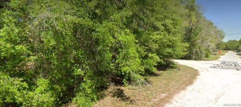 Lot 228 229 St. George Drive, Dunnellon, FL 34432