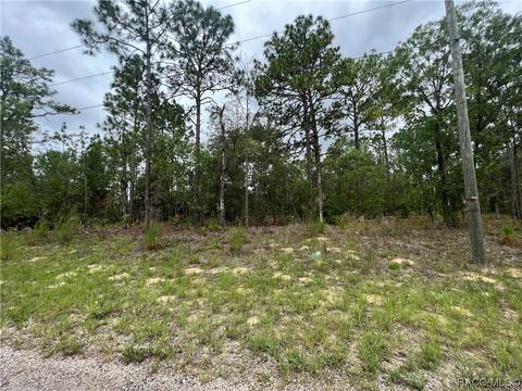 6670 N Edelweiss Way, Citrus Springs, FL 34434