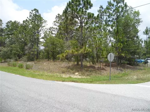 7585 N Susan Ave, Citrus Springs, FL 34433