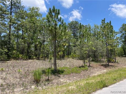 4675 N Buffalo Dr, Beverly Hills, FL 34465