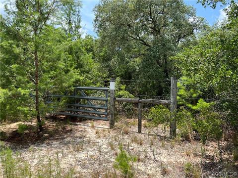 0 NE 160 Ave, Fort Mc Coy, FL 32134