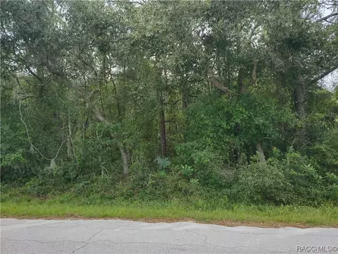 6857 W Pershing Dr, Homosassa, FL 34448