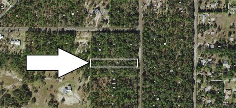 7986 N Shillelagh Ave, Crystal River, FL 34428