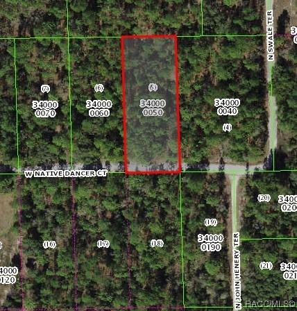 7843 W Native Dancer Ct, Dunnellon, FL 34433