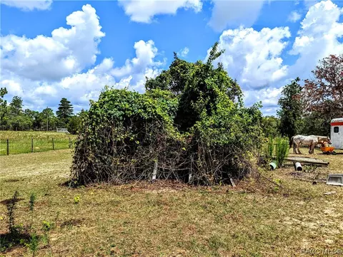 3- W Acres W Carpenter Ct, Dunnellon, FL 34433