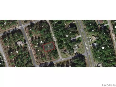 7092 N Trinidad Way, Citrus Springs, FL 34434