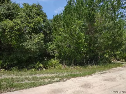 0000 E Hwy 316 Hwy, Salt Springs, FL 32134