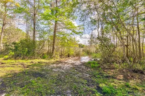 3870 E Adams, Hernando, FL 34442 photo 39