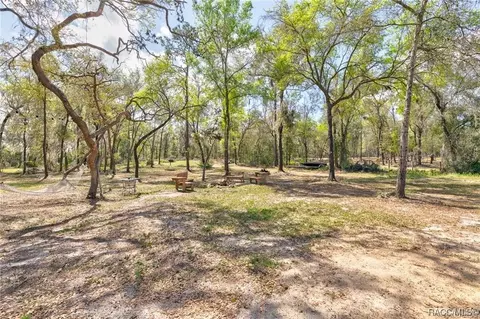 3870 E Adams, Hernando, FL 34442 photo 36