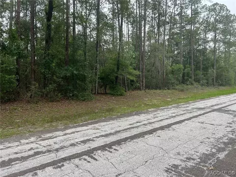 10291 N Empress Cir, Citrus Springs, FL 34434