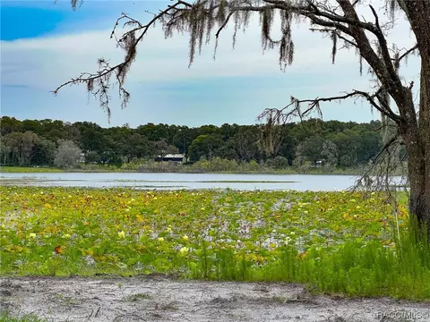 3355 E Lake Nina Dr, Inverness, FL 34453