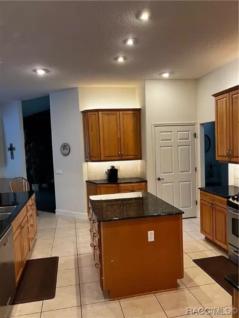 924 E Morningstar Ln, Hernando, FL 34442 photo 13