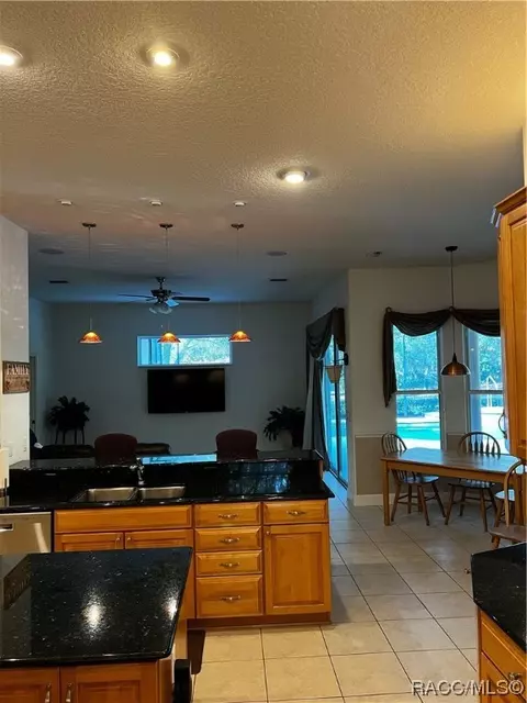 924 E Morningstar Ln, Hernando, FL 34442 photo 14