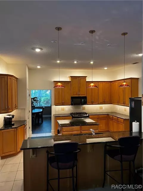 924 E Morningstar Ln, Hernando, FL 34442 photo 15