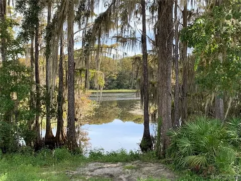 171 Bittern Loop, Inverness, FL 34453 photo 4