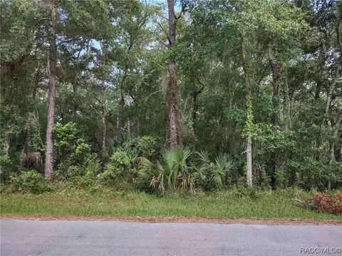 9562 W Laurel Oak Ln, Crystal River, FL 34428