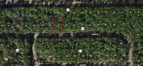 9259 N Patch Dr, Citrus Springs, FL 34434