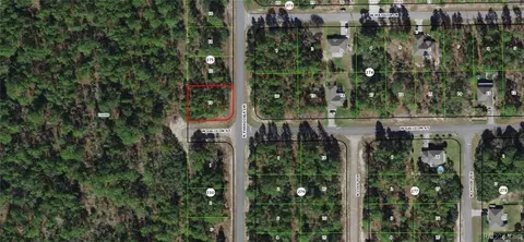 9790 N Paradisea Dr, Citrus Springs, FL 34433
