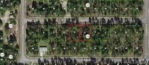 8897 N Bambury Ter, Citrus Springs, FL 34434