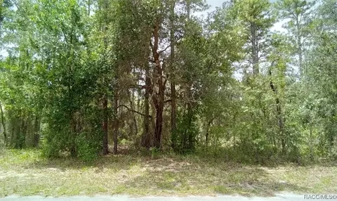 18 Pagoda Dr, Homosassa, FL 34446