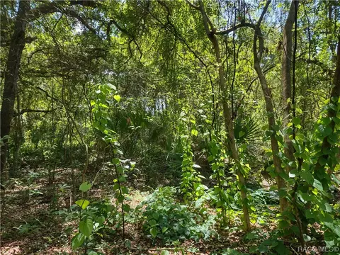 0 SE 140th Ter, Ocklawaha, FL 32179