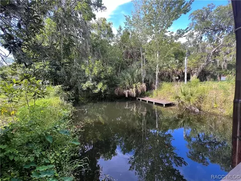 237 Mastadon Dr, Inglis, FL 34449 photo 53