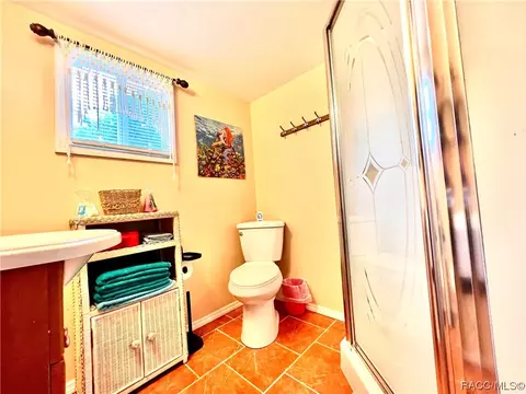 237 Mastadon Dr, Inglis, FL 34449 photo 74