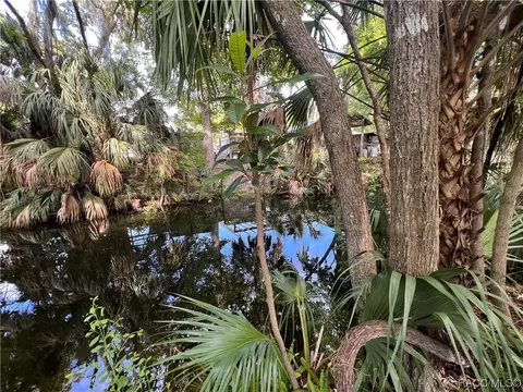 237 Mastadon Dr, Inglis, FL 34449 photo 49