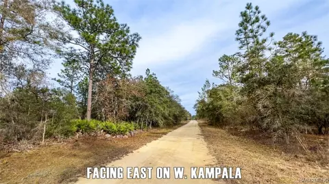 6411 W Seoul Ln, Dunnellon, FL 34433