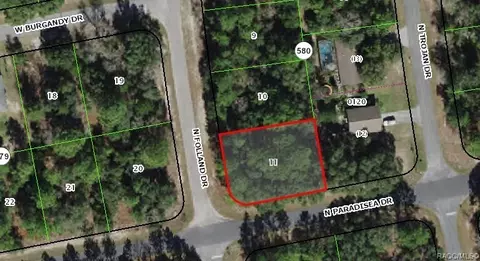 8697 N Folland Dr, Citrus Springs, FL 34433