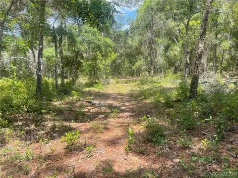 10719 E Tree Ln, Inverness, FL 34450