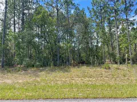 3786 W Eunice Dr, Citrus Springs, FL 34433